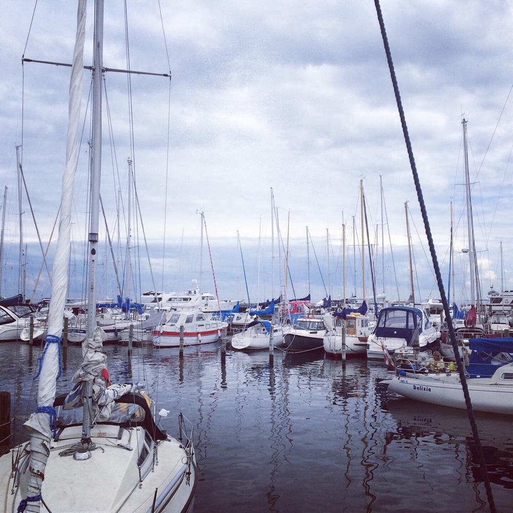 Meet your Posher, Larri